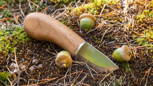 Mushroom Picker Tools: What You Need to Know About Knives for Autumn Forest Picking