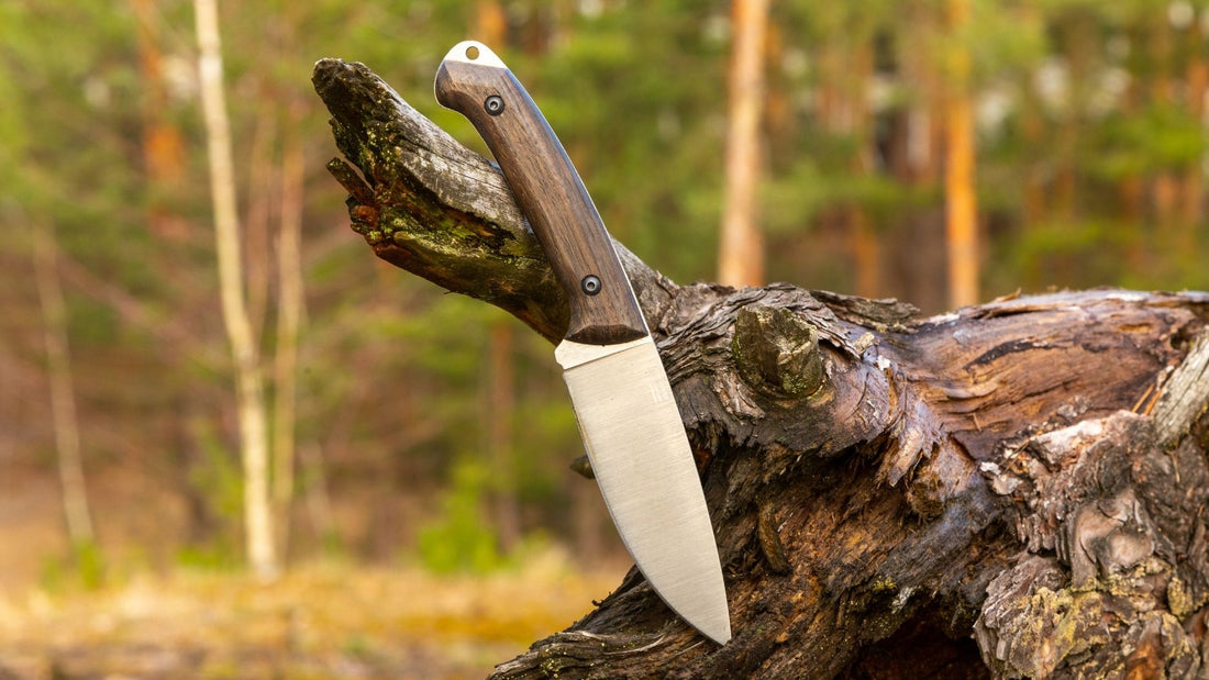 Knife Terminology: Understanding the Lingo