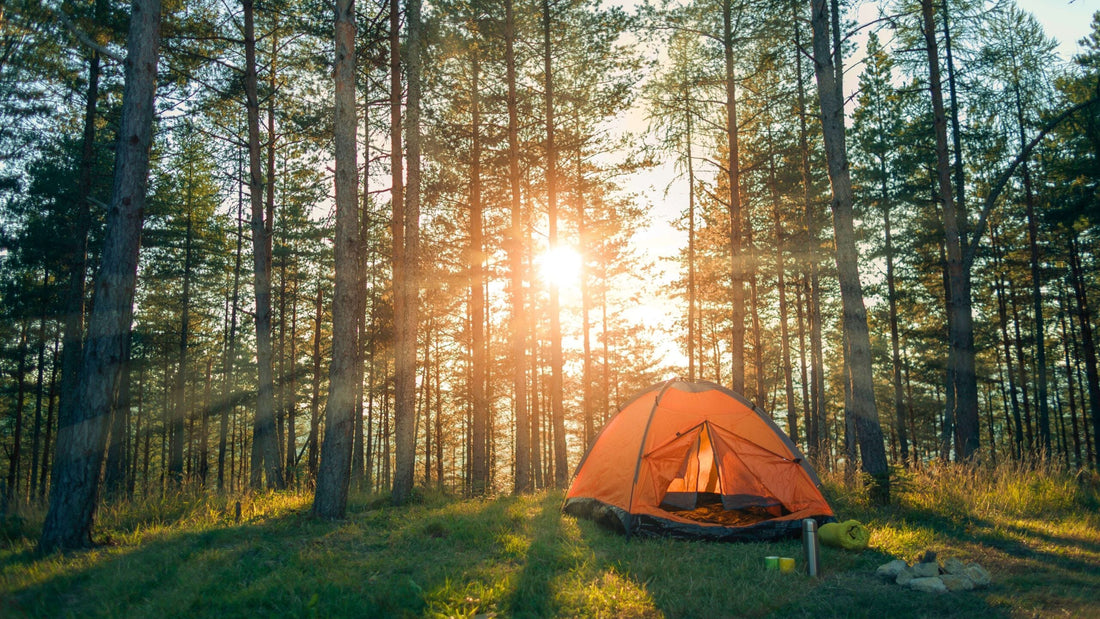 Spring Camping: Why It’s the Best Season to Camp