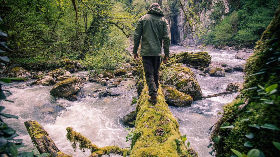 Natural Resources for Survival: What to Use and How to Use Them | Part 1