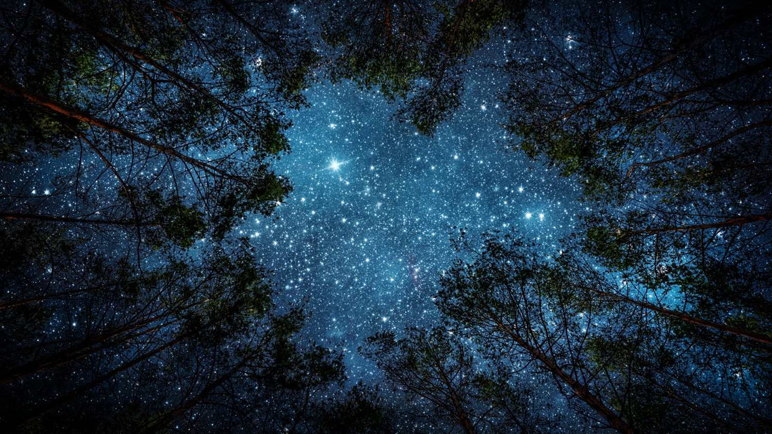 Night Navigation Tips for Hiking