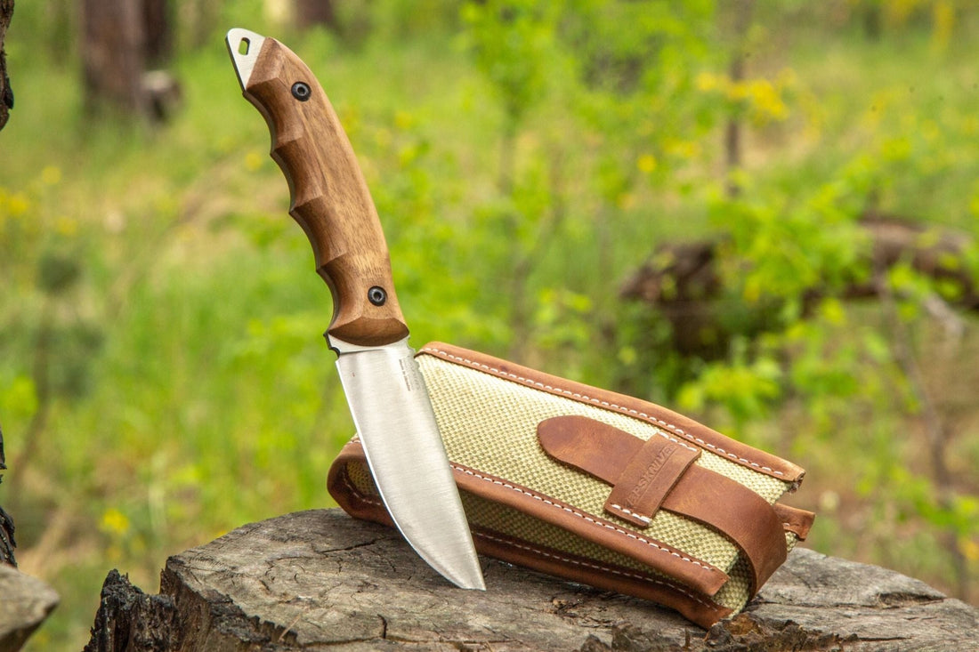 How to Understand That a Knife Needs Sharpening: Signs and Reaction