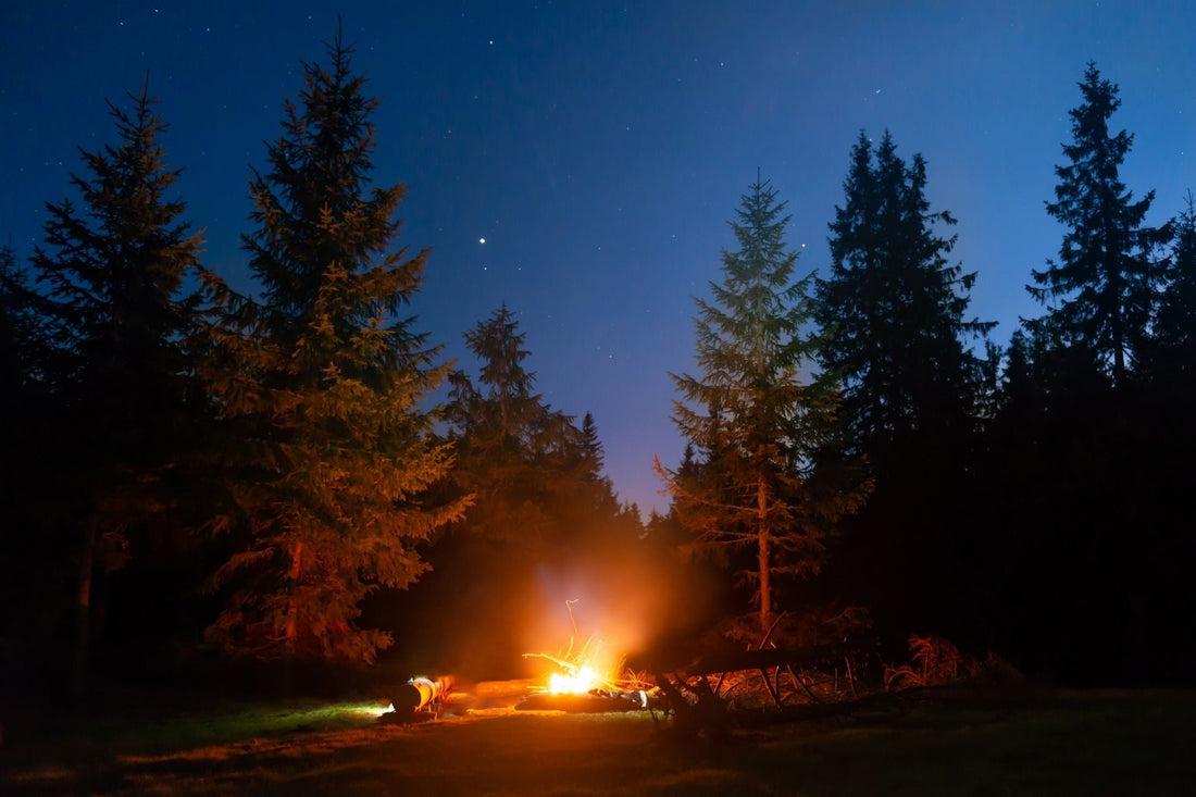 A Night With No Equipment: What Can You Make From Scratch in the Forest?