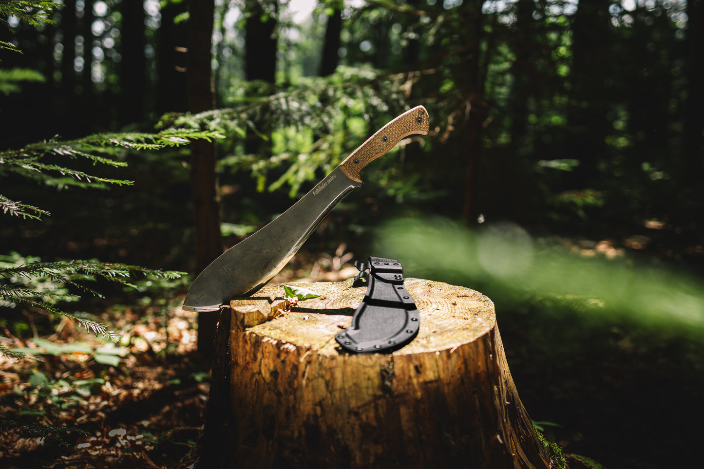 Knife and hatchet on a tree stump in a forest setting