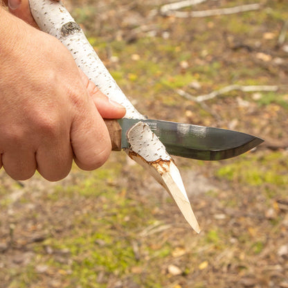 HK1 CSHF